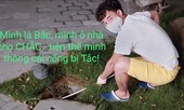 Xuân Bắc, Á hậu Huyền My hưởng ứng trào lưu 'ghép tên' mùa dịch