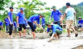 Chiến dịch Thanh niên tình nguyện hè 2020 sẽ đến các huyện nghèo, biên giới, hải đảo