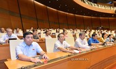 Kiểm điểm, làm rõ trách nhiệm dự án luật 'thò ra, rút lại'