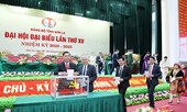 Sơn La bầu Ban chấp hành, lấy phiếu giới thiệu nhân sự Bí thư Tỉnh ủy