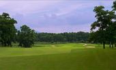Tín hiệu đáng mừng từ Tiền Phong Golf Championship