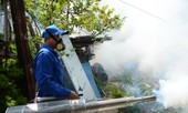 Sức khỏe nam thanh niên Đà Nẵng mắc bệnh nguy hiểm do muỗi truyền hiện ra sao