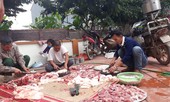 Giá tăng kỷ lục, người dân quê vẫn tưng bừng đụng lợn đón Tết