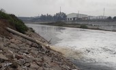 Cảnh dòng sông Ngũ Huyện Khê ô nhiễm như bãi sình lầy đổ ra sông Cầu
