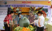 Đặc sắc hội chợ cam, bưởi ở Bắc Giang