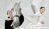 Ngắm trọn bộ hình ấn tượng của Kim Go Eun cùng chú ngựa Maximus (Quân Vương Bất Diệt)