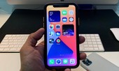 iOS 14 “bóc mẽ” một hành vi “xấu xí” của TikTok đối với người dùng iPhone