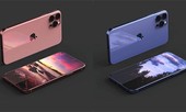 Sự kiện ra mắt sản phẩm mới sắp tới của Apple có thể “vắng bóng” iPhone 12?