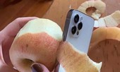 Viền iPhone 12 sắc đến mức có thể gọt táo, làm đứt tay người dùng, thực hư là thế nào?