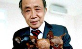 U90 Nguyễn Bảo Sinh: Thi sĩ khỏe dai nhất làng văn chương?