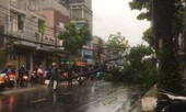 Cây đổ, đường phố Sài Gòn mênh mông nước sau trận mưa cực lớn