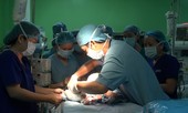 Cuốn tóc vào máy xay đá, bé 11 tuổi bị tróc da đầu lộ cả hộp sọ
