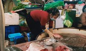Hải sản giảm giá giữa mùa dịch COVID-19, dân vẫn thờ ơ