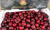 Hoa tươi tăng giá ngày Rằm, hoa quả nhập rẻ bất ngờ