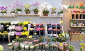 Chị em từ chối nhận hoa, quà 20/10 để gửi tặng miền Trung