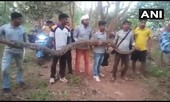 Thất kinh phát hiện 6 con trăn khổng lồ nằm chen chúc trong đường ống