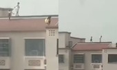 Thót tim nhìn nhóm bé gái chạy chơi tung tăng trên nóc toà nhà 11 tầng