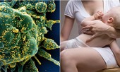 Chuyên gia Nga: Protein sữa mẹ có thể là 'chìa khóa' trong cuộc chiến chống COVID-19