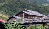 Xuống tay sát hại bố đẻ rồi trốn vào rừng tự tử
