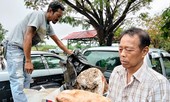 Ngư dân Thái Lan phát hiện khối u nghi là 'bãi nôn cá voi', có giá 74 tỉ đồng
