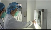 Trung Quốc khẳng định coronavirus lây từ người sang người, 6 người chết
