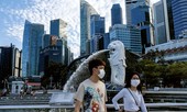 Đại dịch bôi bác nơi công cộng