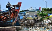 Nhếch nhác 'nghĩa địa' tàu cá tiền tỉ ở cảng Sa Huỳnh