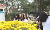 Người dân Bình Định nô nức đi chợ hoa Tết