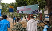 Tuổi trẻ Bình Định tham gia 'giải cứu' dưa hấu trong mùa dịch