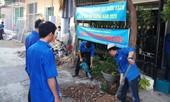 Tuổi trẻ Bình Định đồng loạt ra quân ‘Ngày Chủ nhật xanh’ lần thứ 2 năm 2020