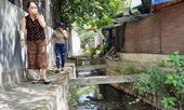Khu dân cư ở Bình Định khốn đốn vì nước thải ô nhiễm