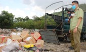 Bình Định tiêu hủy gần 6.000 hũ yến sào không rõ nguồn gốc