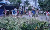 Bão tan, dân Đà Nẵng cùng lực lượng chức năng dọn dẹp đường phố