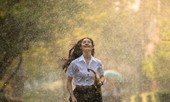 Lúc nào cũng phải xù lông nhím để bảo vệ bản thân ư? Đôi khi, cách tốt hơn lại là im lặng