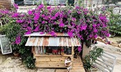 Cuộc thi viết Trà sữa cho tâm hồn: Mấy đồng mua được mộng mơ