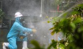 Binh chủng Hoá học khử khuẩn quận Sơn Trà phòng dịch COVID-19