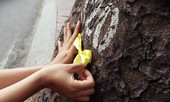 Cuộc sống là tiến về phía trước, nhưng sự thấu hiểu lại nằm ở những điều đã qua