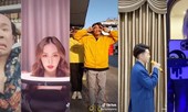 Ế show vì “Cô Vy”, sao Việt đồng loạt chuyển sang chơi TikTok với fan cho đỡ chán?