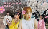 Sao Hàn 24H: COVID-19 có bủa vây vẫn không quên ngắm hoa anh đào mùa Xuân