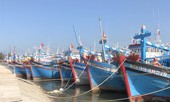 Dính ‘thẻ vàng’, xuất khẩu hải sản sang EU giảm