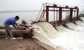 Sau Tết, nông dân miền Bắc lo lấy nước gieo cấy 250.000 ha lúa Đông Xuân