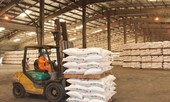 Đạm Phú Mỹ lần thứ 5 lọt vào Top 50 thương hiệu dẫn đầu Việt Nam
