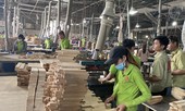 Vụ áp thuế từ 0 lên 25%: Tổng cục Hải quan chính thức sửa lỗi