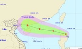 Ứng phó với áp thấp nhiệt đới khả năng mạnh thành bão trên biển Đông, mưa lớn đến hết tuần