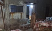 Phát hiện 'đại lý' gom heo bệnh, heo chết bán cho công nhân