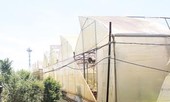 Vì sao nguyên Giám đốc Sở Khoa học Đồng Nai bị khai trừ Đảng?