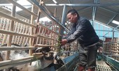 Từ bản xuống phố: Chờ 'bà đỡ'