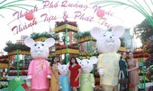 Người dân Quảng Ngãi rộn ràng 'check-in' với gia đình chuột ở công viên Ba Tơ