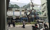 Cây đổ đè chết học sinh ở TPHCM: Trường đốn hạ cây phượng còn lại