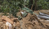 Truy tặng Huân chương Bảo vệ Tổ quốc cho 11 liệt sĩ hy sinh tại Thủy điện Rào Trăng 3